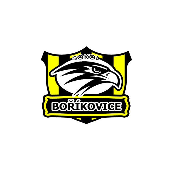 Kreativní návrh loga pro Sokol Boříkovice