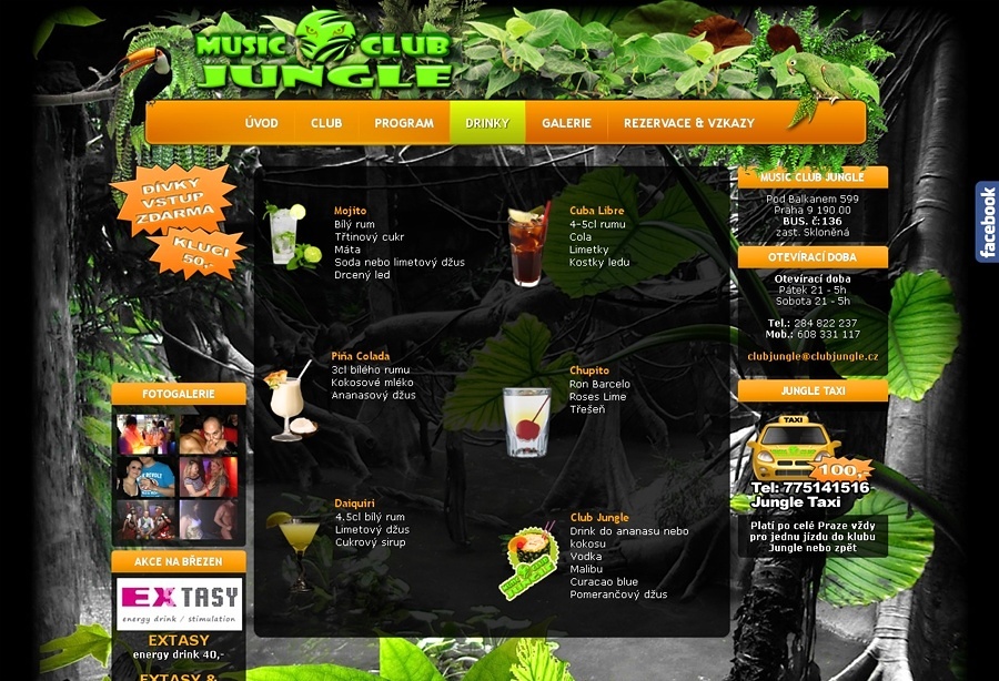 Návrh a tvorba e-shopu Music club Jungle